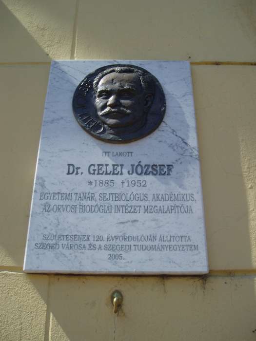 Szeged, Tisza L. krt. 37. 2.kép.jpg Szeged, Tisza L. krt. 37. 2.kép.jpg